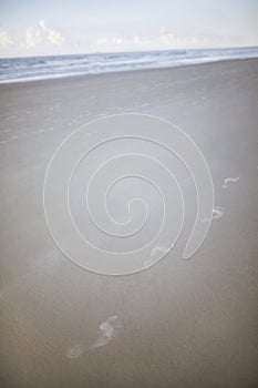 Footprints in the sand at beach