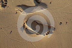 Footprints on sand beach