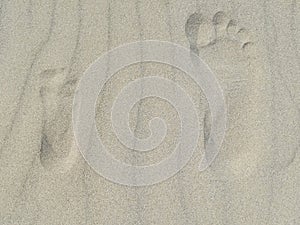 Footprints in the sand on the beach