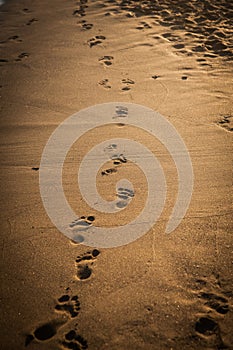 Footprints on the sand, beach in the afternoon sun. Find your pa