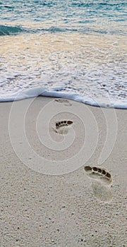 Footprints in the sand at the beach blue ocean