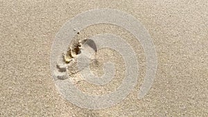 Footprints in the sand on the beach. The camera follows footprints in a large sand dune on the beach. 4k resolution