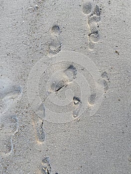 Footprints in the sand on the beach, closeup