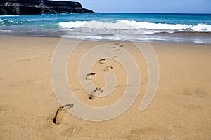 Footprints in the sand