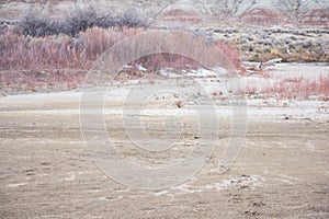Footprints In Sand On Beach
