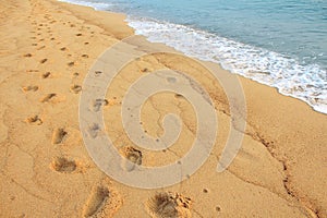 Footprints on the sand beach