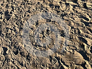 Footprints in the sand of the beach