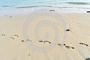 Footprints on the sand at the beach.