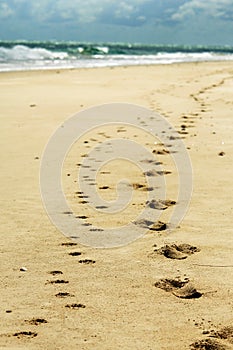 Pistas en arena sobre el Playa hombre mascota el perro 