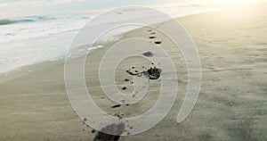 Footprints in sand, beach and ocean with sunrise, light and environment, travel and closeup with tropical landscape. Sun