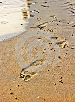 footprints in the sand, beautiful sandy tropical beach