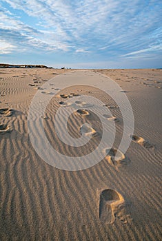 Footprints in the sand with a blue sky and white clouds in the background. Coastline of the Baltic Sea near Carnikava, Latvia