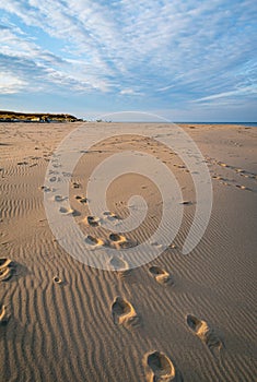 Footprints in the sand with a blue sky and white clouds in the background. Coastline of the Baltic Sea near Carnikava, Latvia