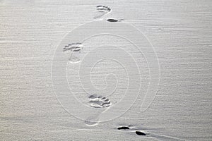 Footprints in the sand at Cape Town beach