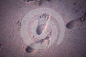 Footprints in the sand from children`s feet.