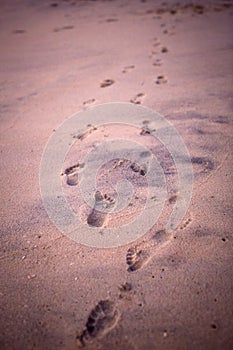 Footprints in the sand from children`s feet.