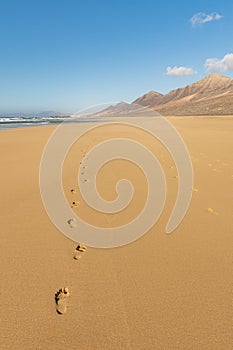 Footprints in sand on Cofete beach, Fuerteventura island