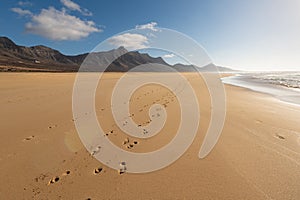 Footprints in sand on Cofete beach, Fuerteventura island