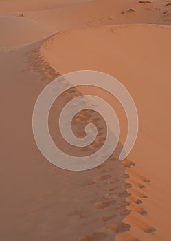 Footprints on sand desert