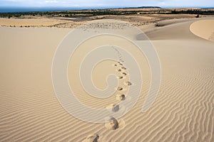 Footprints on Sand Dune