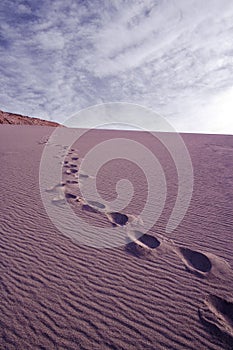 Footprints in a sand dune in the desert at Valle de la Muerte, Spanish for Death Valley photo