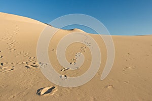 Footprints in sand dunes