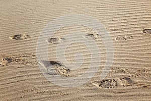 Footprints in the sand in the dunes. Close-up. Top view. Space for text. Background