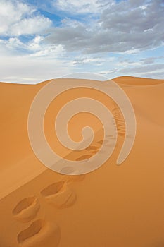 Footprints in sand dunes of Erg Chebbi, Morocco