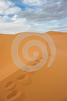 Footprints in sand dunes of Erg Chebbi, Morocco photo