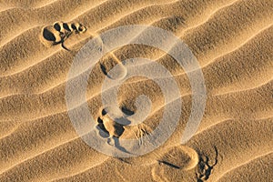 Footprints In The Sand. Early Morning Sunlight Through Sand Dunes And Mountains In Mesquite Flat Dune, Death Valley National Park