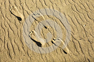 Footprints in the Sand