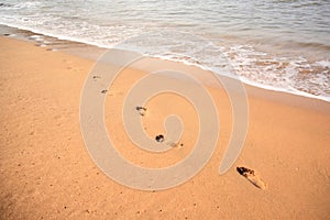 Footprints in the sand Goa