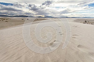 Footprints In The Sand Through Desert Landscape