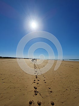 Footprints in the sand and a lonely man with a horse at the beach