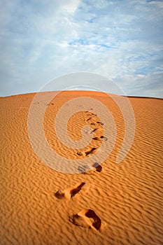 Footprints in the sand in the Sahara Desert