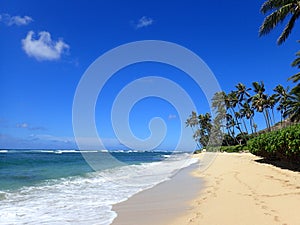 Footprints in the sand on a sandy beach as waves roll