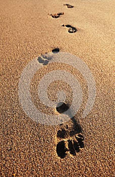 Footprints on sand of sea beach. Summer