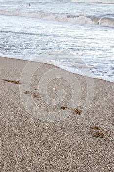 Footprints in the sand at the seaside
