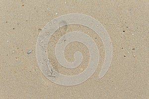 Footprints on the Sand. Select focus footprints