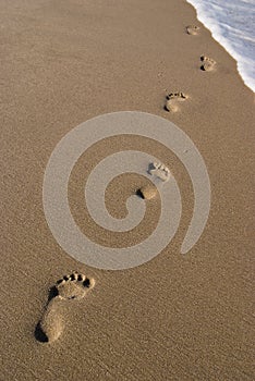 Footprints in the sand 162