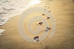 Footprints in the sand photo