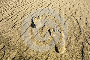 Footprints in the Sand