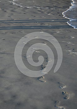 Footprints in the sand on Tybee Island Georgia