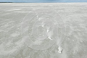 Footprints in the sand of a vast beach