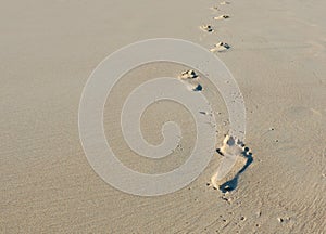 Footprints in sand photo