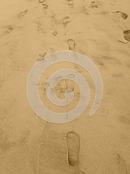 Footprints of sandals  or floppys, floppies in very soft seasand   in vertical orientation