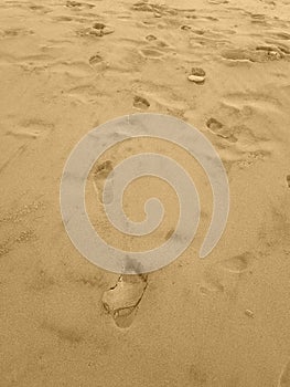 Footprints of sandals  or floppys, floppies in very soft seasand   in vertical orientation