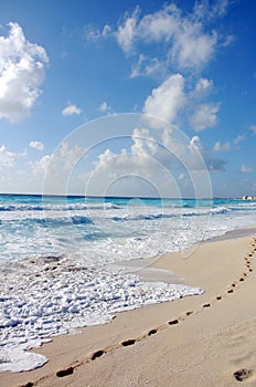 Footprints in sandy beach