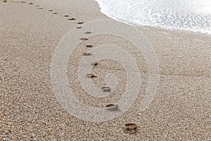 Footprints on the sandy beach along the water\'s edge. Relaxation and vacation at the resort