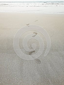 Footprints on a sandy beach leading to the sea. Steps on the sand, the concept of vacation and recreation.